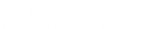 logo-thieguinho-branca-100x500